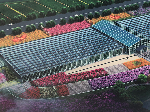 福建玻璃温室大棚建设