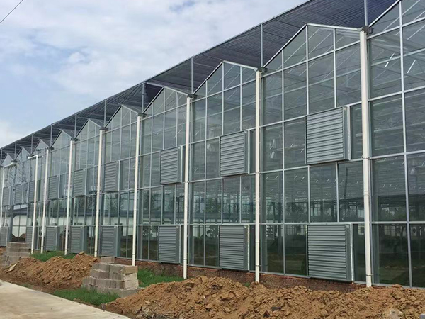 兰州智能大棚玻璃温室
