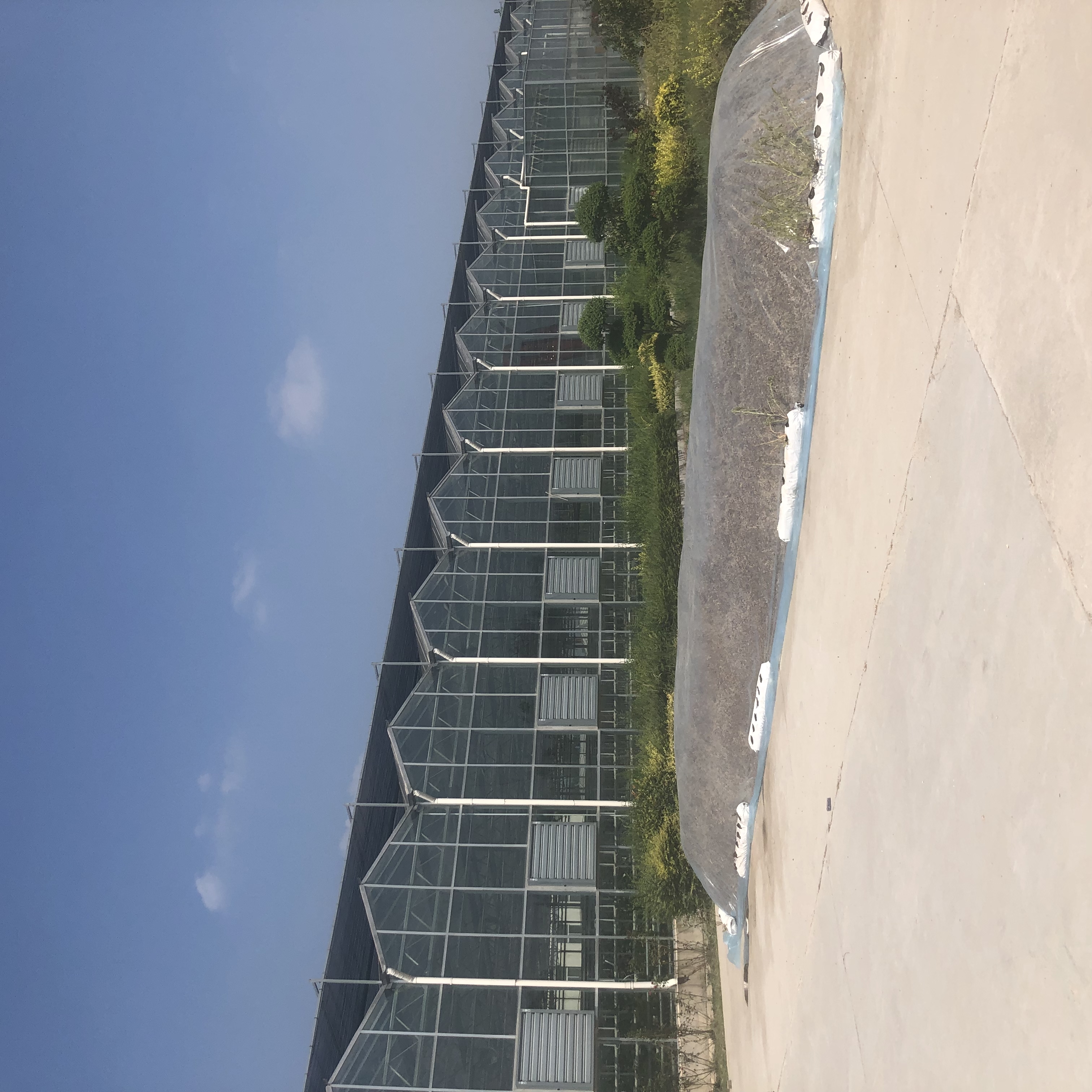 规模化大型玻璃温室造价构成与优势介绍