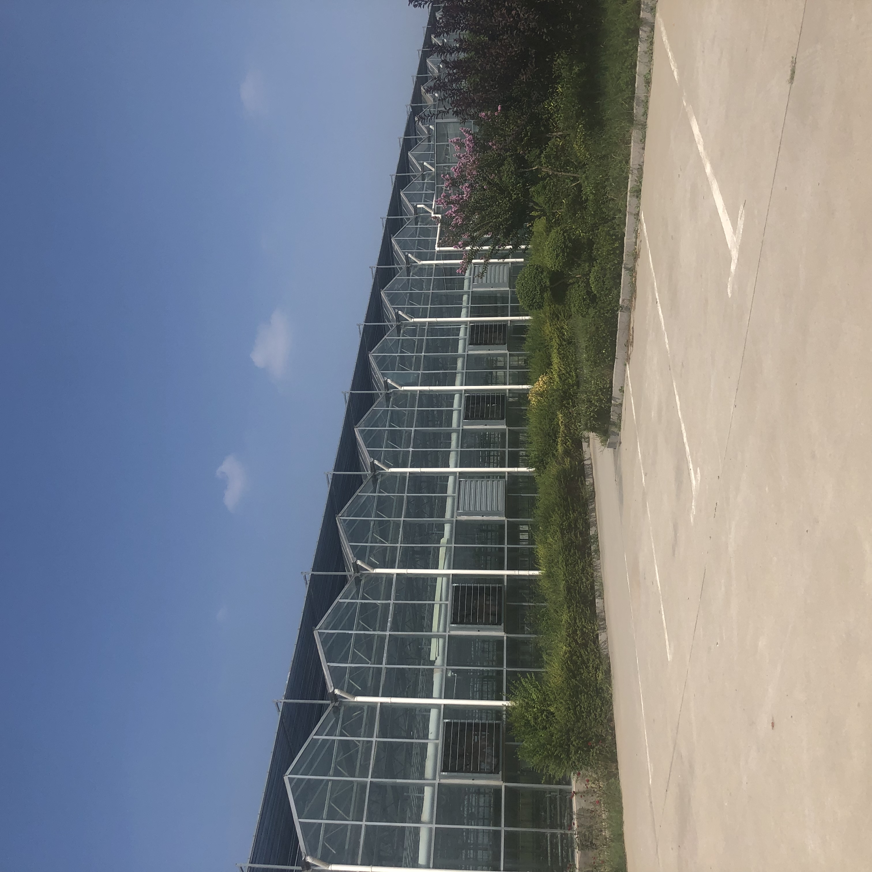 规模化现代农业玻璃温室造价构成与工程优势解析